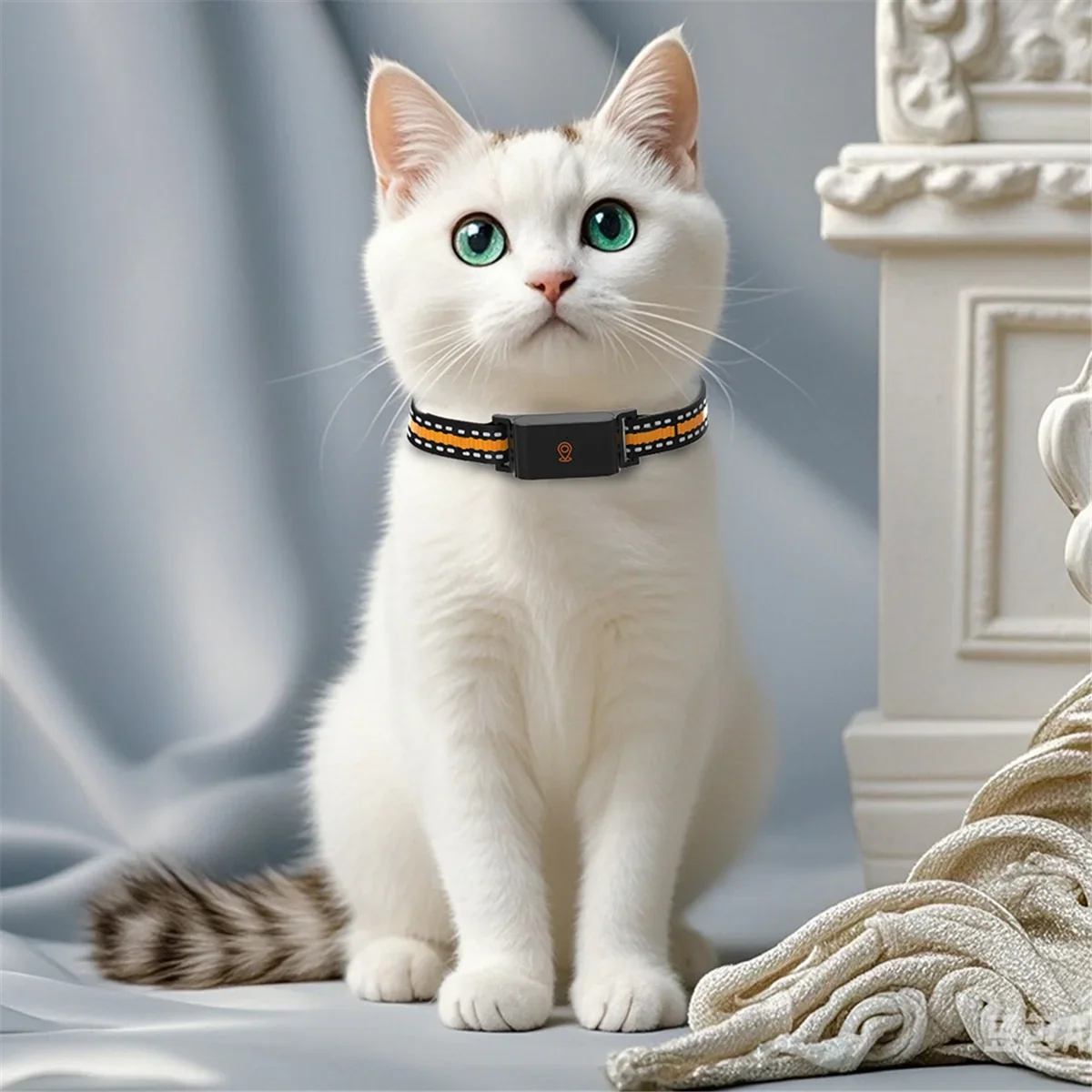 Sécurité & Bien-Être des Animaux